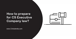 How to prepare for CS Executive Company law?  