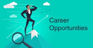 Career Opportunities For New Qualified Chartered Accountants