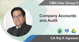 Company Accounts and Audit