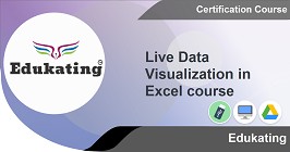 Live Data Visualization in Excel course