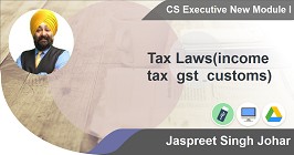 Tax Laws(income tax and gst & customs)