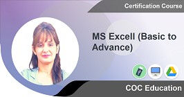 MS Excell (Basic to Advance)