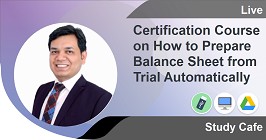 Certification Course on How to Prepare Balance Sheet from Trial Automatically