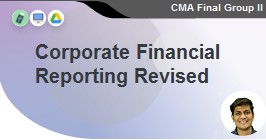 Corporate financial report