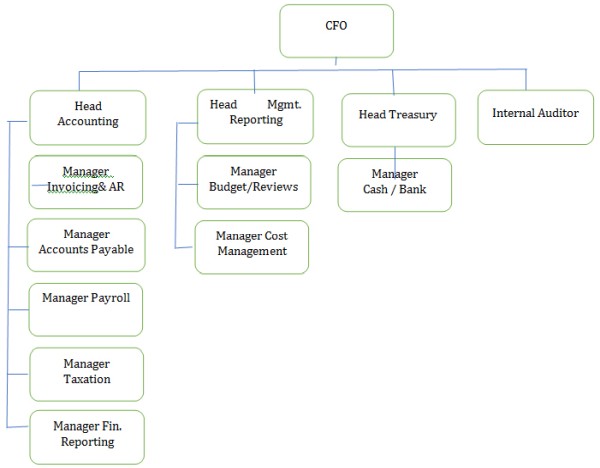 Cfo Finance Department Organizational Chart And Duties