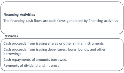 Financing Activity