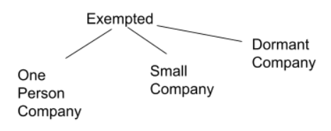 Exemption from preparing Cash Flow Statements