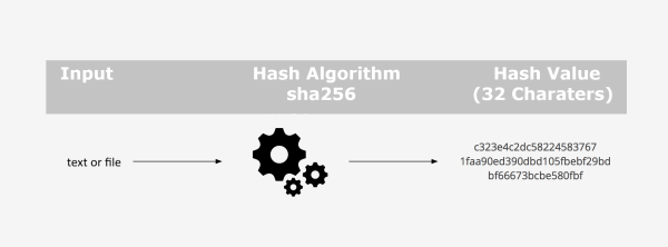 To check the hash value in the DSC Step 8