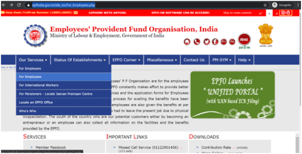 Check your PF Balance on the EPFO Portal