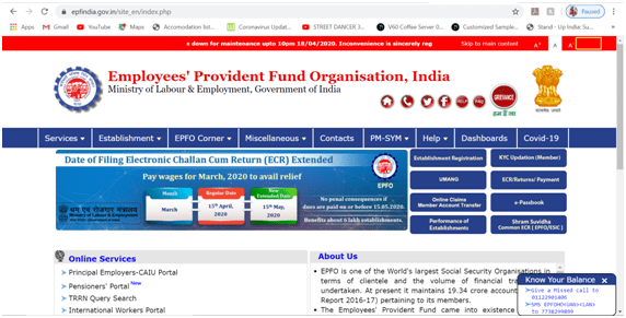 Visit the EPFO portal