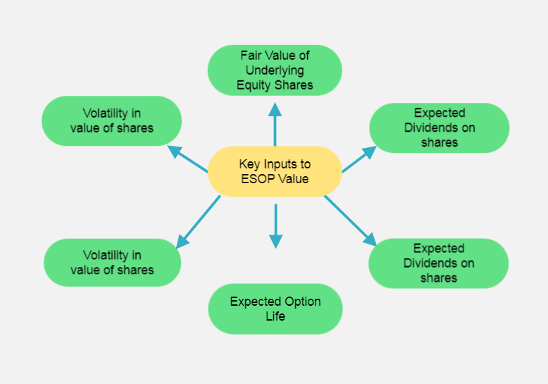 Key inputs to ESOP value