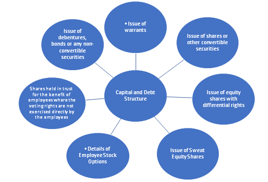 Capital and Debt Structure