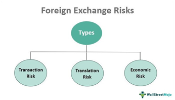 Foreign Exchange Risks