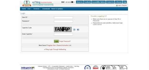 PAN in the Income tax portal