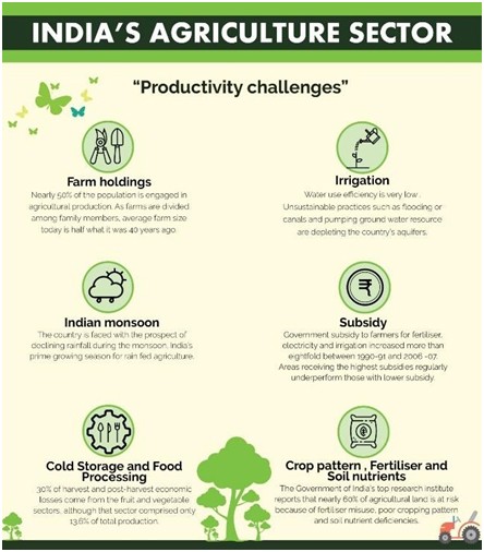 India's Agriculture Sector