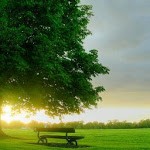 Pro Member Krishnaveni karur