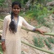Dolly sree