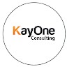 Pro Member KayOne Consulting