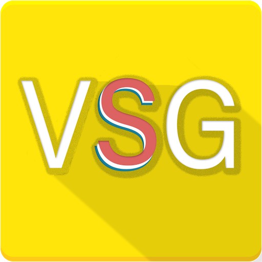 VSG Consultancies
