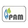 PAM Systems Private Limited