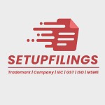 setupfilings.com