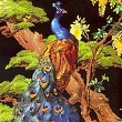 PRASHANT SHARMA