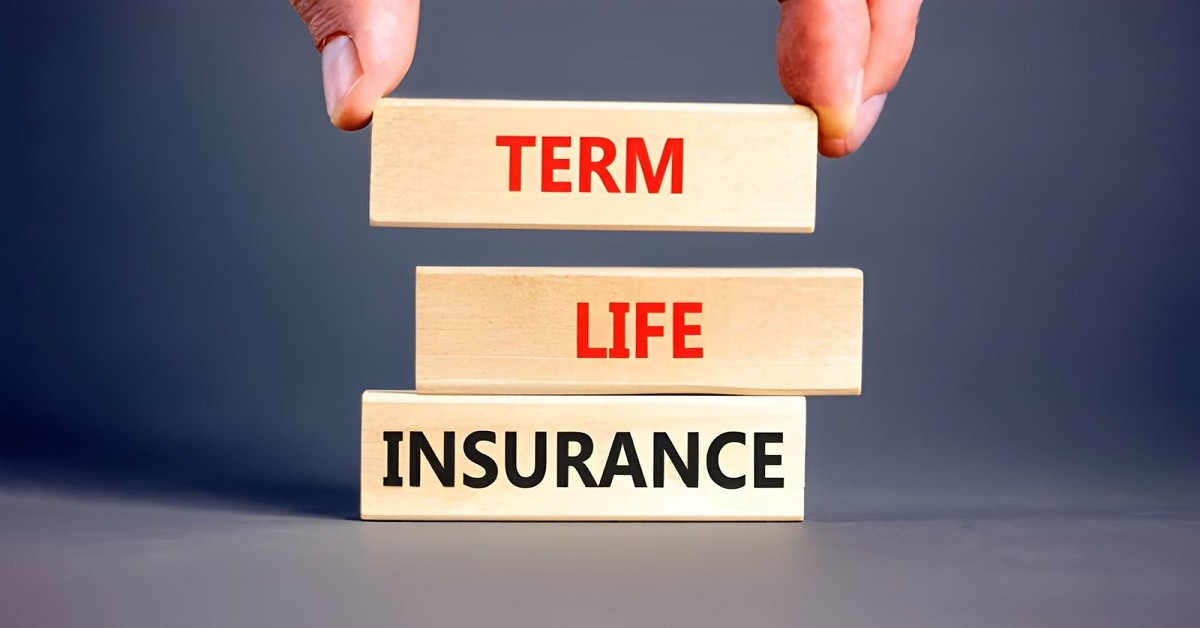 What Features Matter Most in a Term Life Insurance Plan 