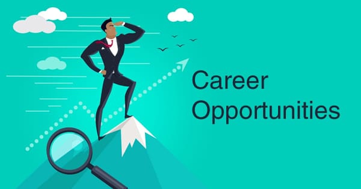 Career Opportunities For New Qualified Chartered Accountants
