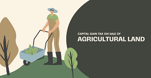 Capital Gain Tax on Sale of Agricultural Land