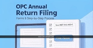 How to File OPC Annual Return Online? Forms & Process