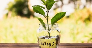 How to Decide the Right SIP Amount for Small Cap Mutual Funds Based on Your Risk Profile
