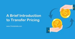 A Brief Introduction to Transfer Pricing