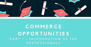 Commerce opportunities: Part 1 - Introduction of the Professionals