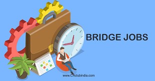 What are Bridge Jobs? 