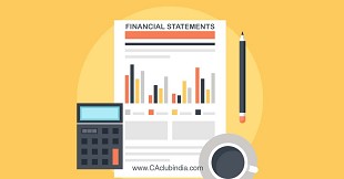Financial Statements under Indirect Taxes