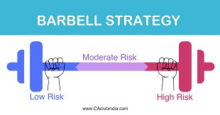 Decoding Barbell Strategy