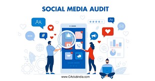 Auditing Social Media