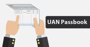 UAN Passbook : UAN Status and Member Passbook