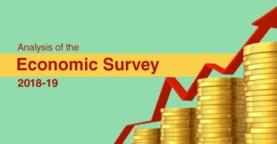  Analysis of the Economic Survey 2018-19