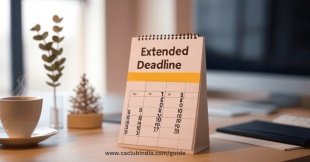 Belated Return: Due Date Extended To 15th January 2025