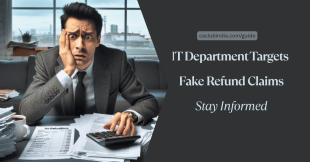 Bogus Income Tax Refund Claims: Consequences