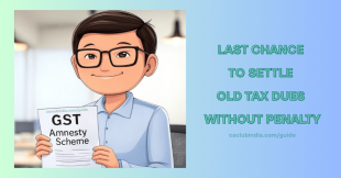 GST Amnesty Scheme: Save on Penalties Before 31st March 2025