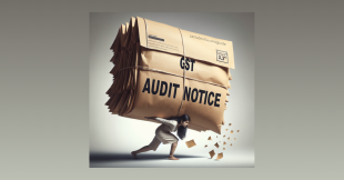 GST Audit Triggers: What DGGI Is Looking at in FY 2025-26