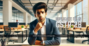 GSTR-2B Duplicate Issue : What to Do with Duplicate ITC?