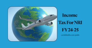 Income Tax For NRI In India: Tax Slabs, Filing, Exemption and Tips For FY 2024-25