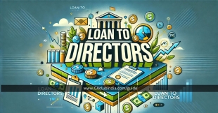 Section 185 of Companies Act 2013: Restrictions on Director Loans