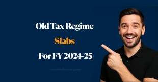 Old Tax Regime Slabs For FY 2024-25: Who Should Opt and Why?