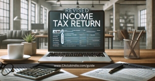 Revised Income Tax Return: Correcting Errors
