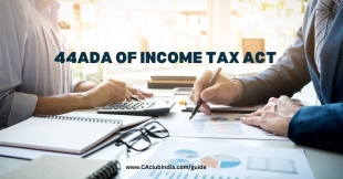 Who Can Opt for Section 44ADA &amp; How Does It Work?
