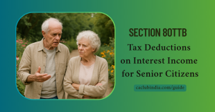 Section 80TTB: Interest Income Tax Relief for Seniors FY 2024-25
